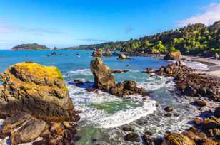 Trinidad Beach-3710.jpg Trinidad Beach-3710.jpg